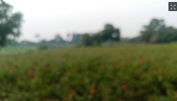 Affordable Ready Residential Plots for Sale – 3 / 5 / 10 Katha | Savar