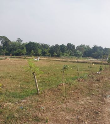Ready Corner Plot for Sale | 60 ft × 20 ft Road Access – Savar Lake City